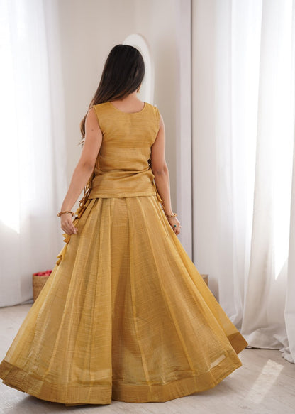 Elegant Flaired Lehenga with Intricate Zari Embroidered Koti With Plain Blouse