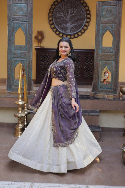 Premium Cosmos Lehenga Choli with Zari & Sequins Embroidery